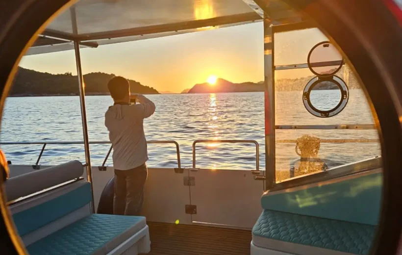 Sunset Regina Maris Cat